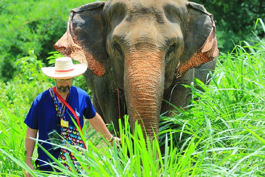 Tethering: Integral to Elephant Care