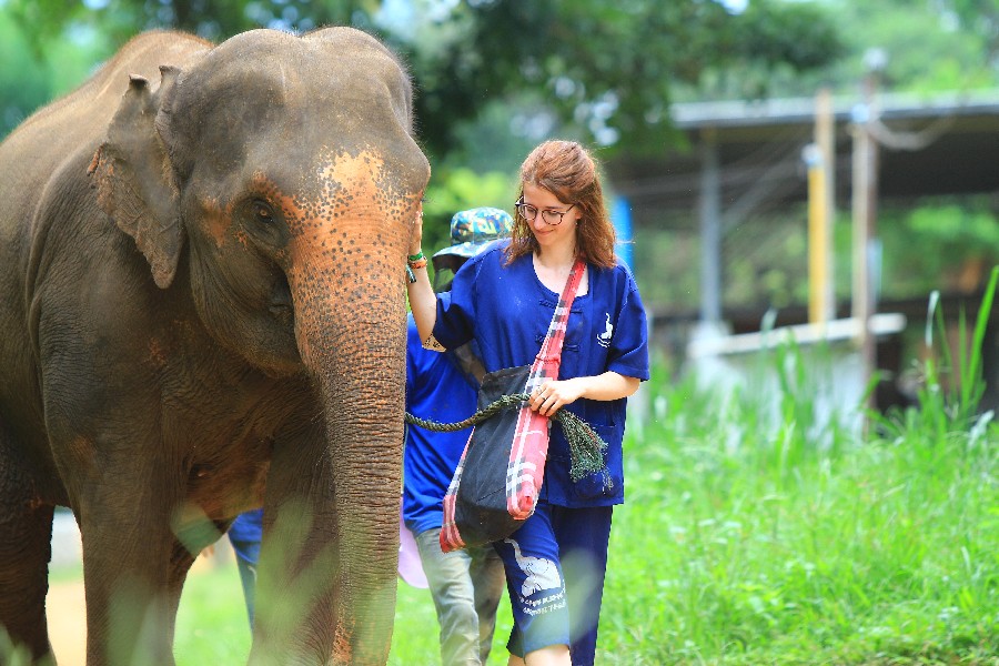 Thailand Travel Mart by Tourism Authority of Thailand