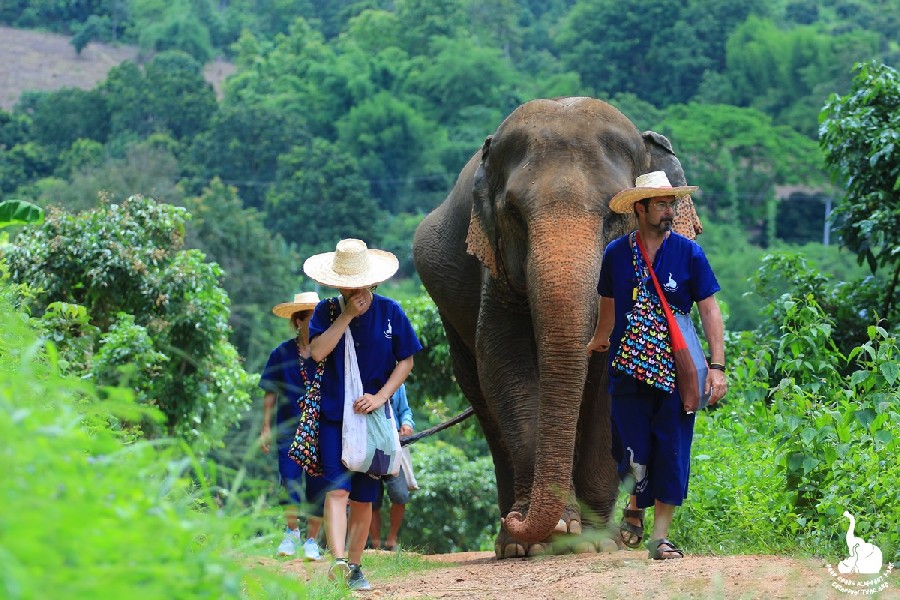 ETHICAL ELEPHANT TOURISM